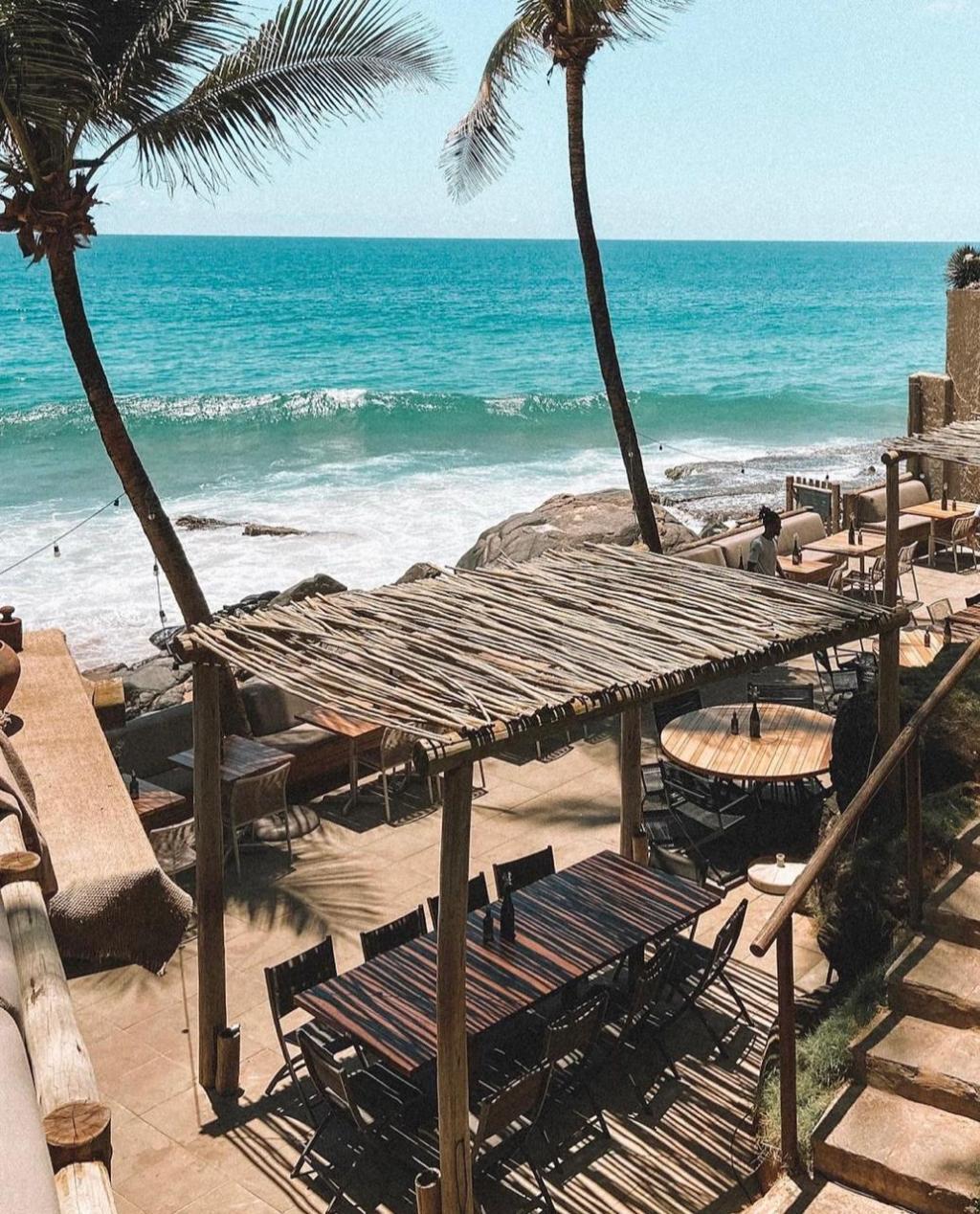 Blue Praia Bar monta observatório de baleias no Rio Vermelho